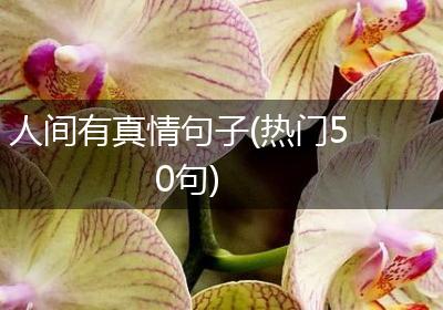 人间有真情句子(热门50句)