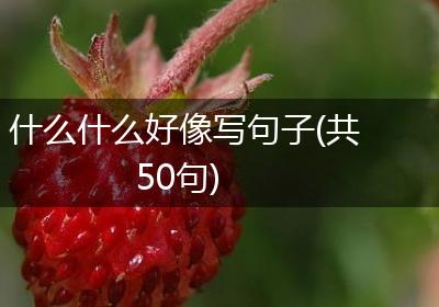 什么什么好像写句子(共50句)