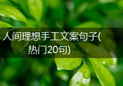 人间理想手工文案句子(热门20句)