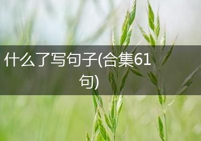 什么了写句子(合集61句)