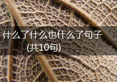 什么了什么也什么了句子(共10句)