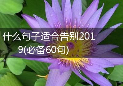 什么句子适合告别2019(必备60句)