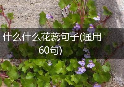 什么什么花蕊句子(通用60句)