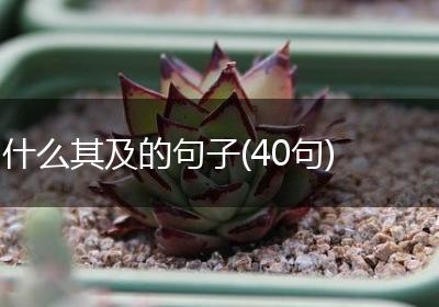 什么其及的句子(40句)