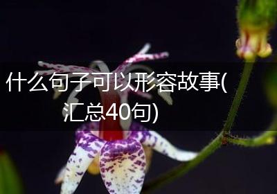 什么句子可以形容故事(汇总40句)