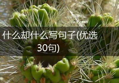 什么却什么写句子(优选30句)
