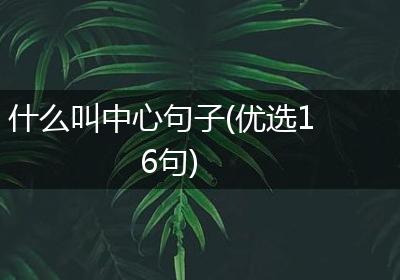 什么叫中心句子(优选16句)