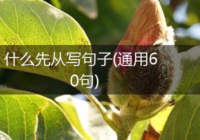 什么先从写句子(通用60句)