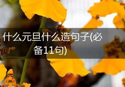 什么元旦什么造句子(必备11句)