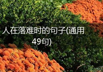 人在落难时的句子(通用49句)