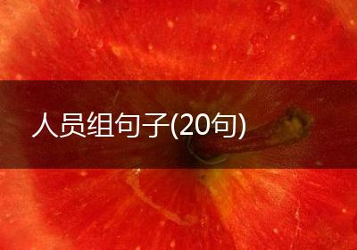 人员组句子(20句)