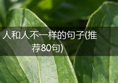 人和人不一样的句子(推荐80句)
