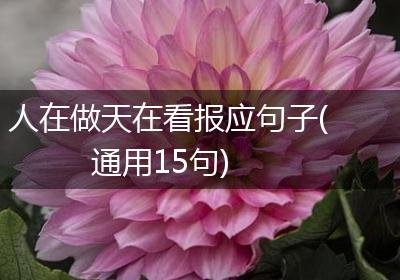 人在做天在看报应句子(通用15句)