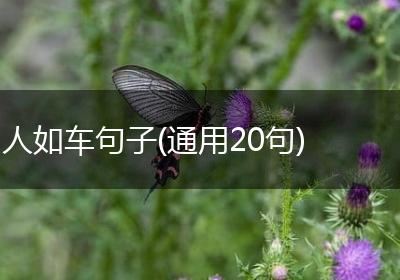 人如车句子(通用20句)