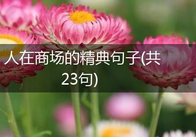 人在商场的精典句子(共23句)