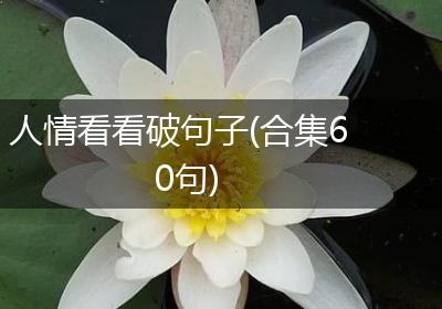 人情看看破句子(合集60句)