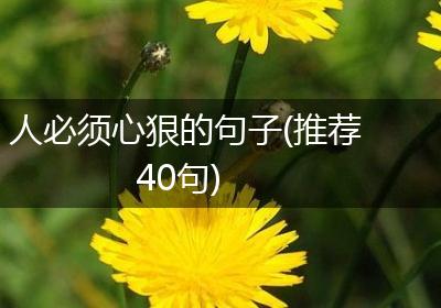人必须心狠的句子(推荐40句)