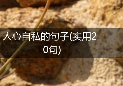 人心自私的句子(实用20句)