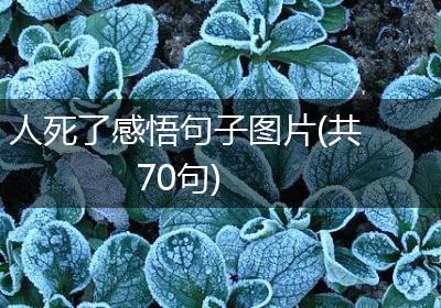 人死了感悟句子图片(共70句)