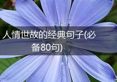 人情世故的经典句子(必备80句)