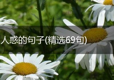 人惑的句子(精选69句)