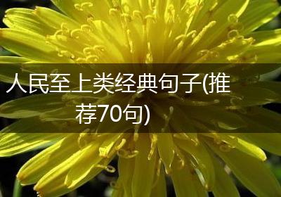 人民至上类经典句子(推荐70句)