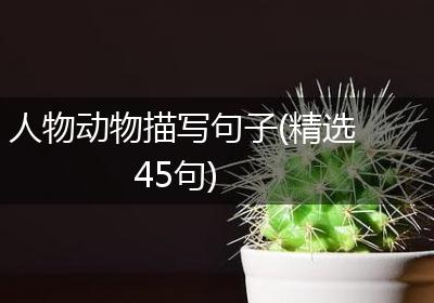 人物动物描写句子(精选45句)
