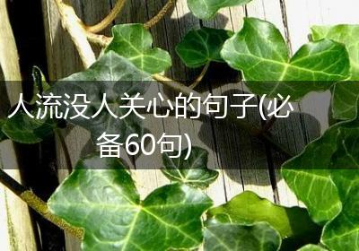 人流没人关心的句子(必备60句)