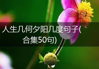 人生几何夕阳几度句子(合集50句)