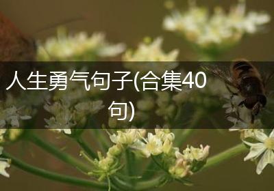 人生勇气句子(合集40句)