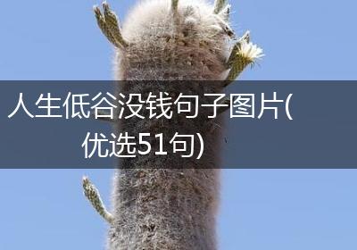 人生低谷没钱句子图片(优选51句)