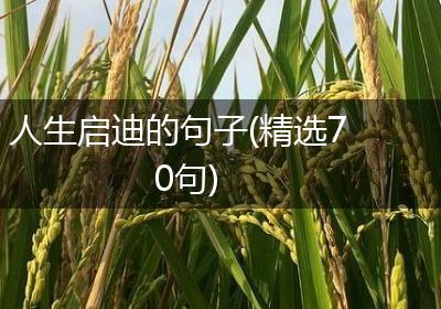 人生启迪的句子(精选70句)