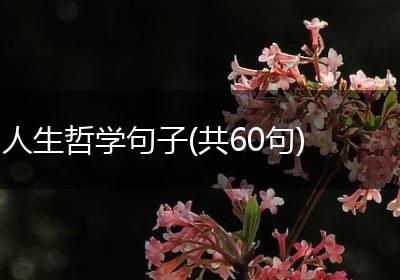 人生哲学句子(共60句)
