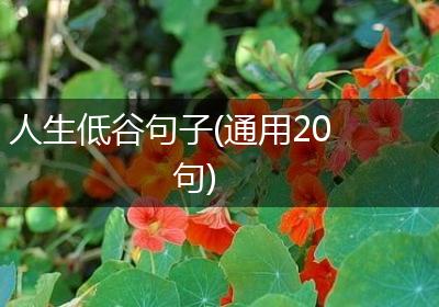 人生低谷句子(通用20句)