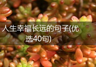 人生幸福长远的句子(优选40句)