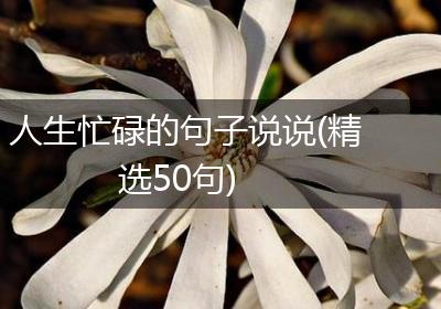 人生忙碌的句子说说(精选50句)