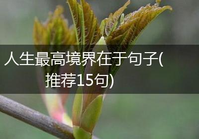 人生最高境界在于句子(推荐15句)