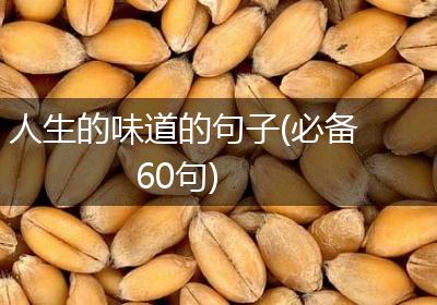 人生的味道的句子(必备60句)