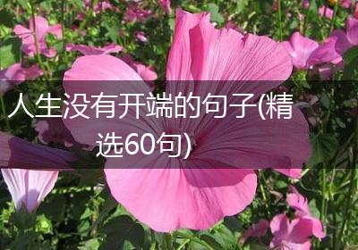 人生没有开端的句子(精选60句)