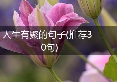 人生有聚的句子(推荐30句)