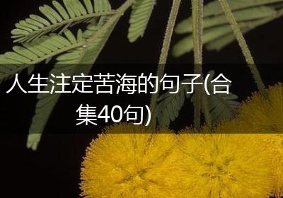 人生注定苦海的句子(合集40句)