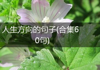 人生方向的句子(合集60句)