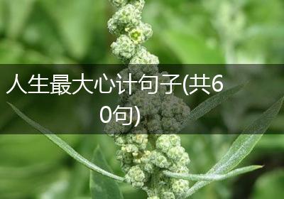 人生最大心计句子(共60句)