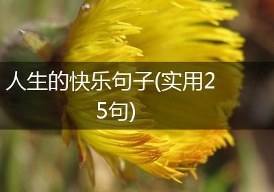 人生的快乐句子(实用25句)