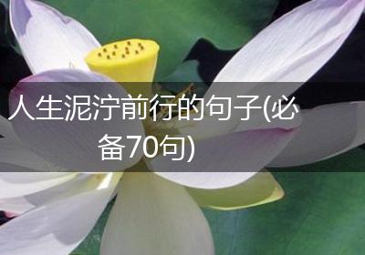 人生泥泞前行的句子(必备70句)