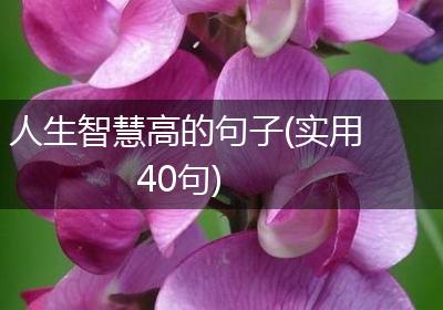 人生智慧高的句子(实用40句)