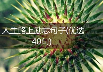 人生路上励志句子(优选40句)