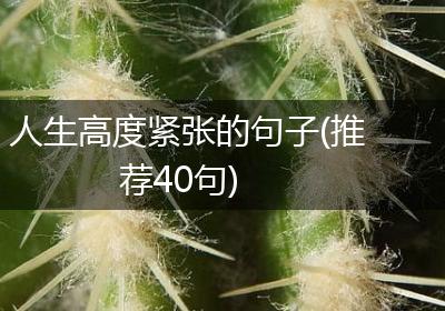 人生高度紧张的句子(推荐40句)