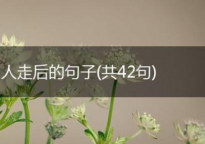 人走后的句子(共42句)