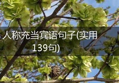 人称充当宾语句子(实用139句)